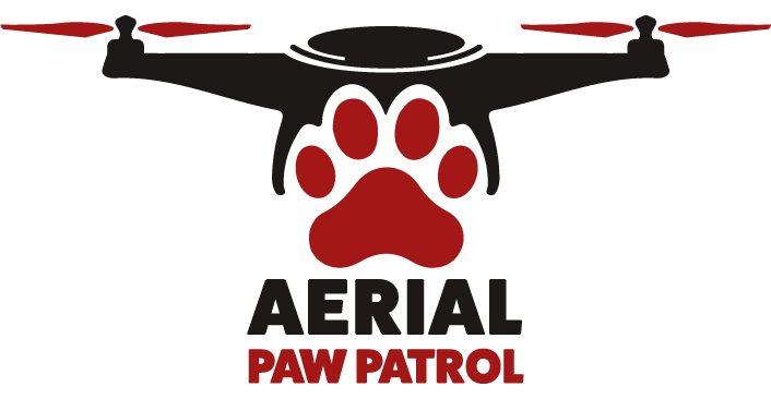 Aerial Paw Patrol
